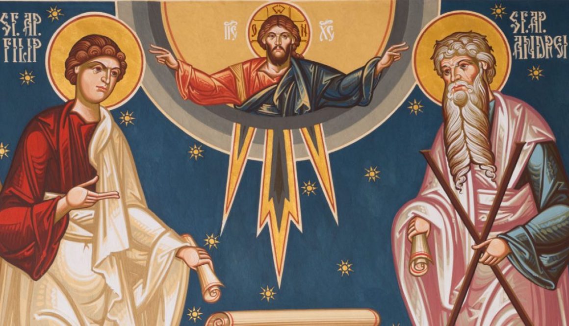 ana-photography---Tineret---Aprilie-2017--1